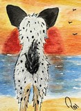 by Pamela Becker