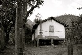 by Tulio Rezende