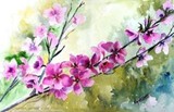 by Rajesh Desai