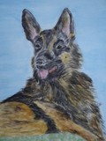 by Joanie Holliday