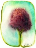 by hilary SLATER