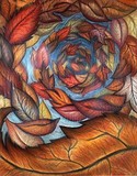 by Virginia Swift
