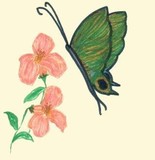 by Charlotte Berry