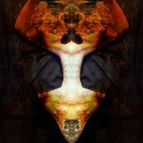by Marc  De Beus