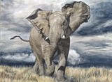 by Trudy Barlow