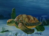 by Lisa A. Ciaccia