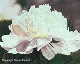 by Diane  Jorstad