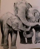 by Dana Condel