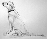 by Dana Koffenberger