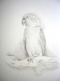 by Catherine Sandell