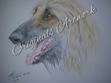 by Susan Rathbone 