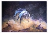 by Dolphi Rego