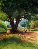 by Rajmohan Ramamoorthi
