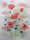 by Sheila  Fleming 