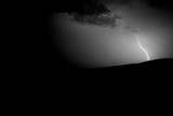 by Dave Waldner