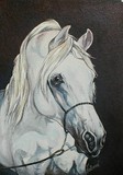 by Dana 