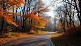 by Mihaela B