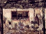 by SA KOONTZ