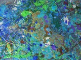 by Dawn Hough Sebaugh