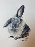 by Ariella Belau