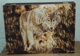 by Gayle Taylor