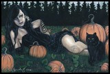 by Rebecca Sinz