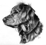 by Beth Thompson