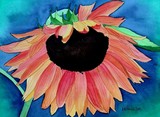 by Nancy Woolweber