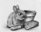by Gillian  McMurray