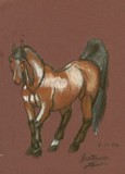 by The Black Stallion