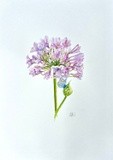 by Derek Murray