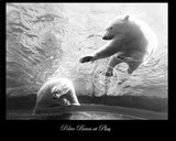 by DEE JOBES PHOTOGRAPHY