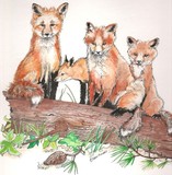 by Terri Walker