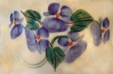 by Tracey Loftis