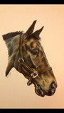 by Kate Doran
