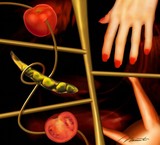 by Nascimento Sergio