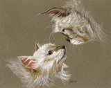by Jennifer Redstreake