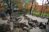 by iq kao