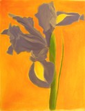 by Rebecca Melancon