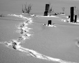 by Edward Bajgerowicz