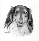 by Tracey  Riedel