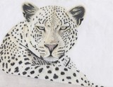 by Sandy Miller