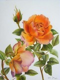 by Doris Joa