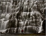 by wim denijs