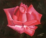 by Fletcher Derrick
