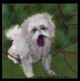 by Debbie Battrick