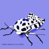 by Debbie Battrick