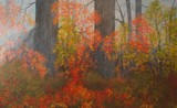 by Jagoda Lane