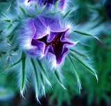 by Greg Summers