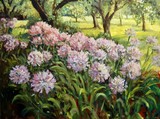 by Ingrid Dohm
